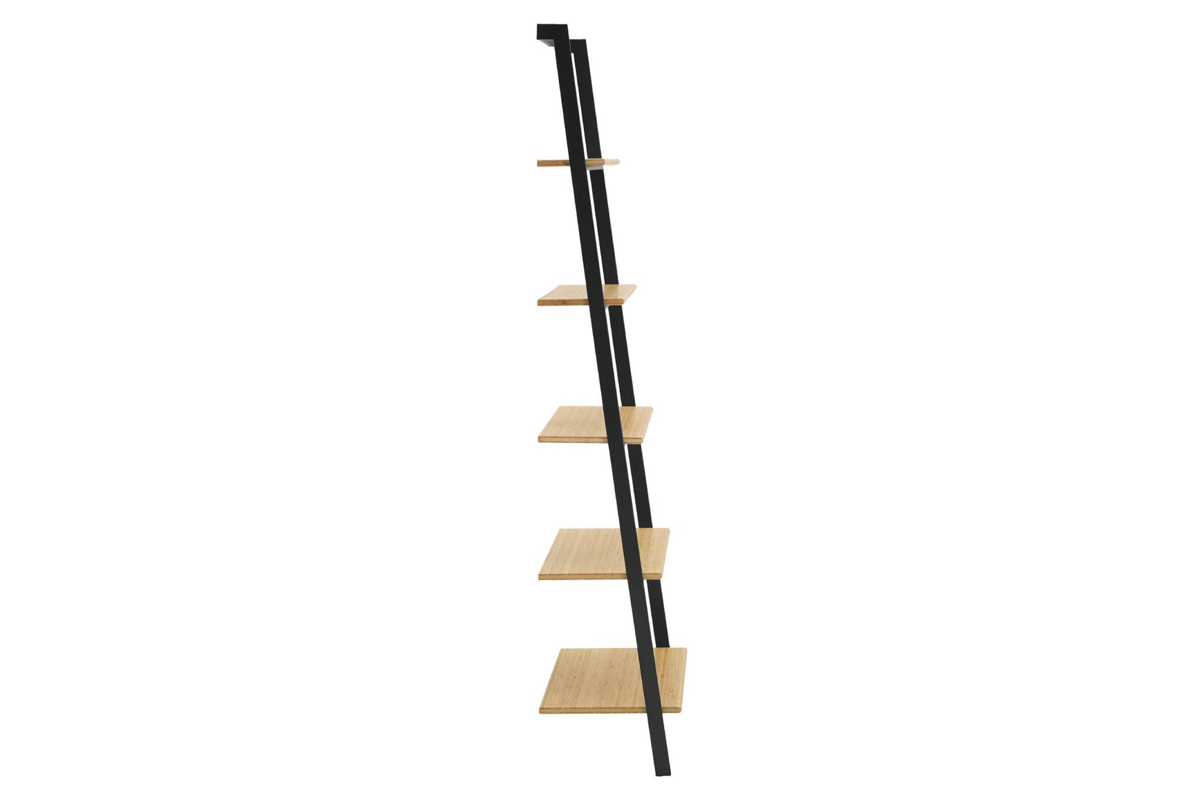 Santa Cruz Solid Moso Bamboo Leaning Shelf