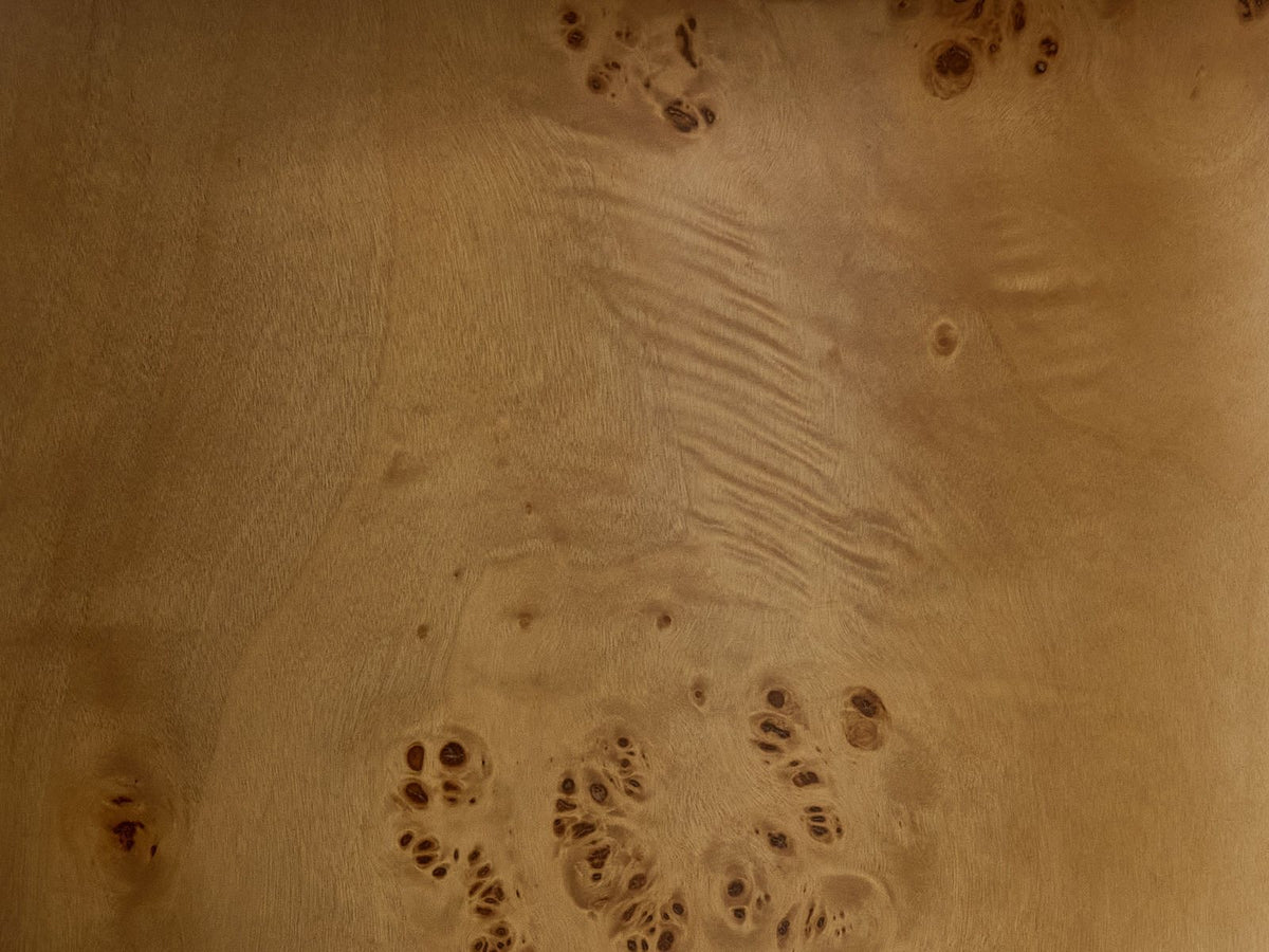 Close-up of the Cuneo 29-Inch Pebble Burl Veneer and Sintered Stone Coffee Table Set: the natural burl veneer of the drum pedestal