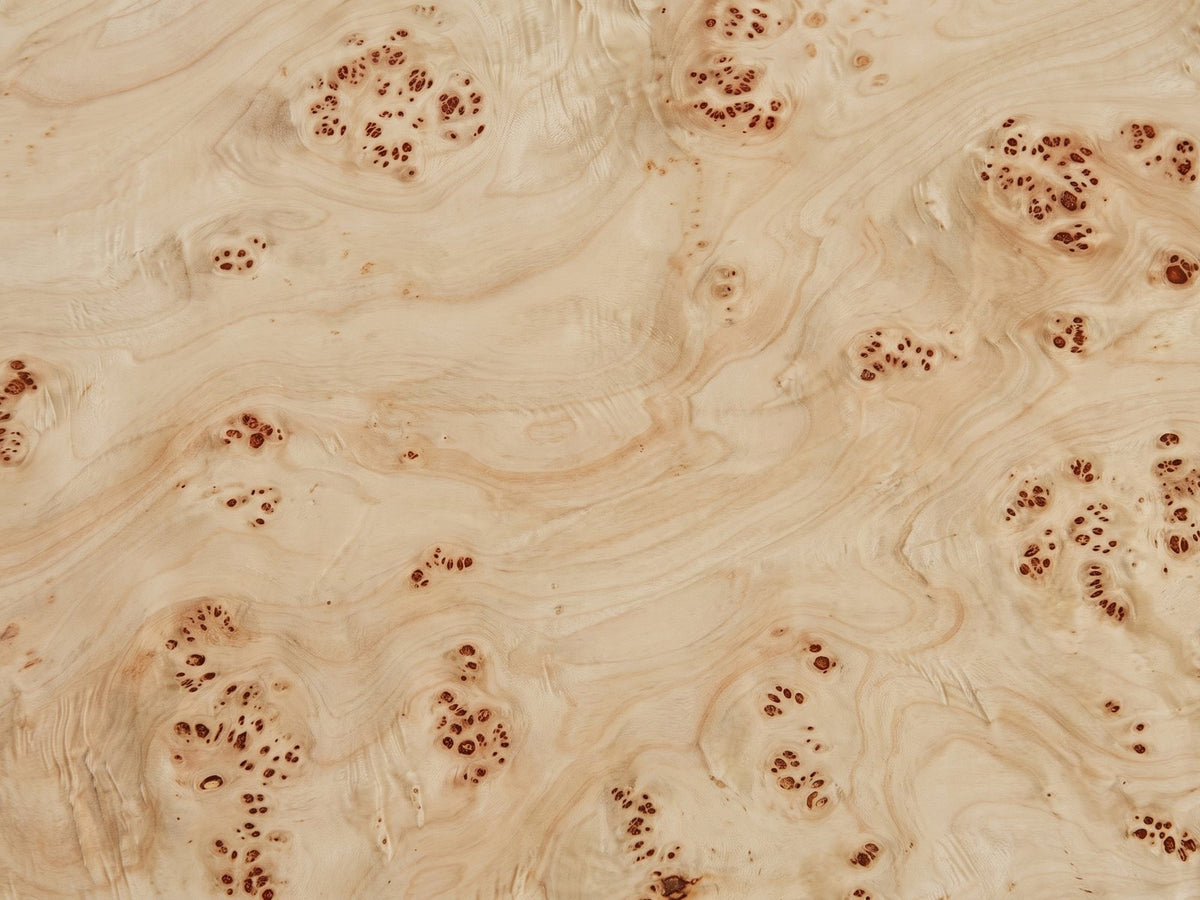 Close-up of the Fossano 31.5-Inch Round Burl Wood Veneer Pedestal Coffee Table: the pale burl wood veneer of the top