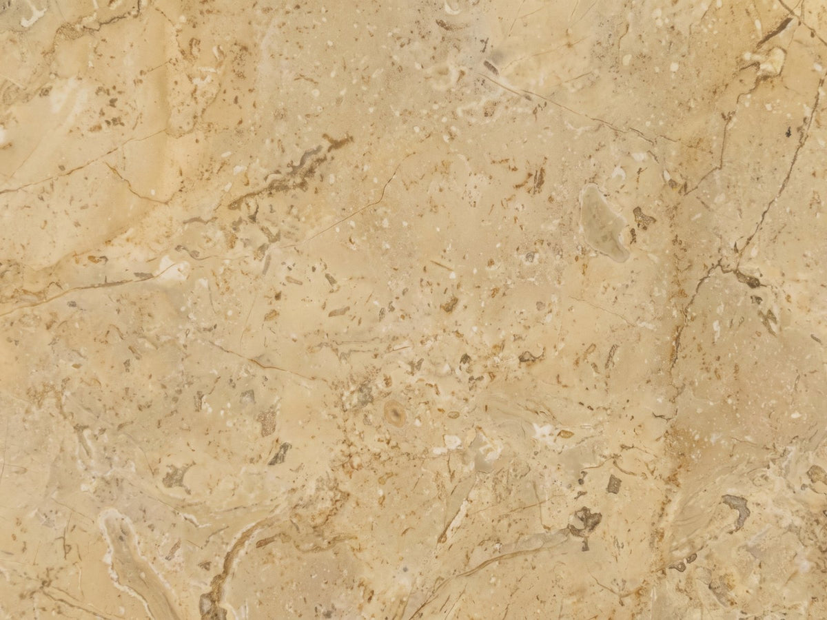 Close-up of the Salina Gold Beige Marble Round Side Table: the mottled gold beige marble of the polished top