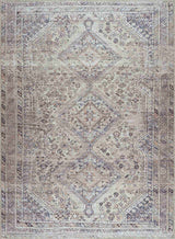 Barny Tan Washable Area Rug