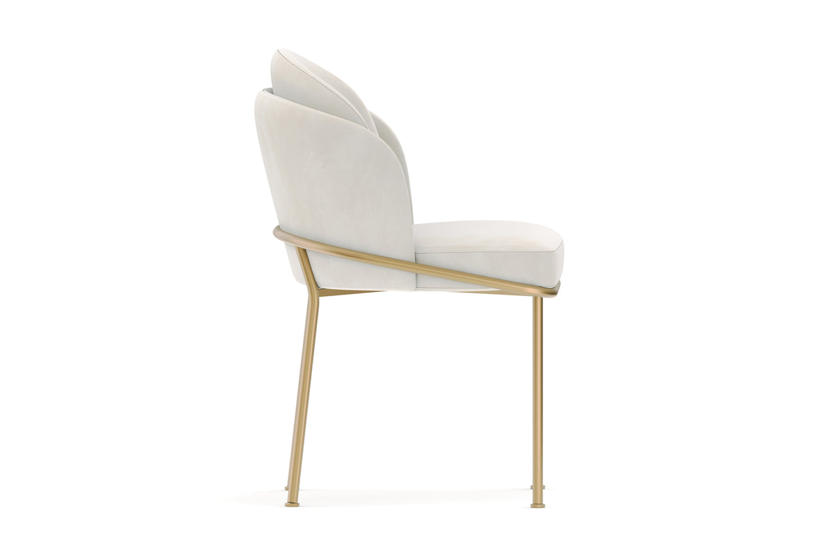Alexander Fabric Dining Chair (Set of 2)