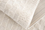 Leryn Ivory Checkered Area Rug