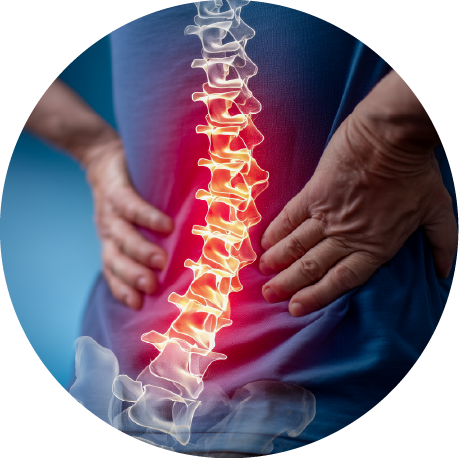 Relieves back pain and reduces spinal compression