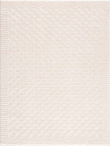Leryn Ivory Checkered Area Rug