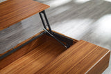 Rhody Solid Moso Bamboo Lift-Top Storage Coffee Table