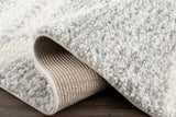 Trunding Plush Area Rug in Gray