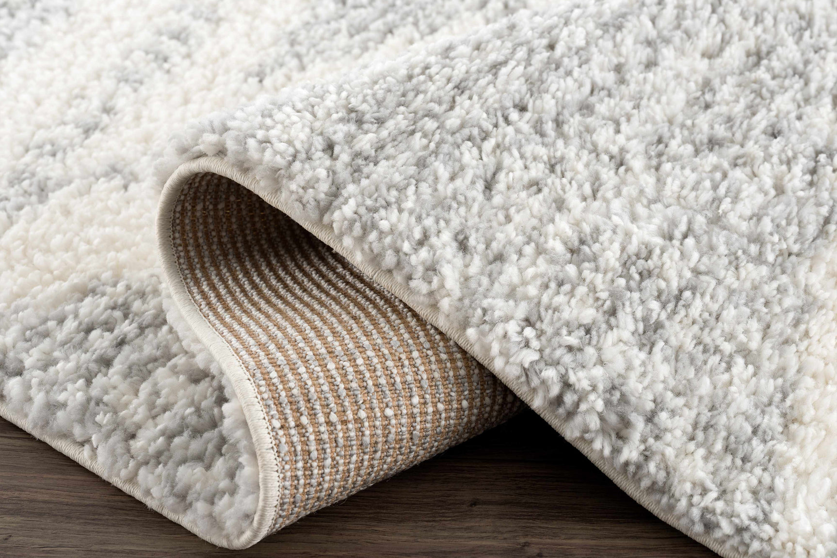Trunding Plush Area Rug in Gray