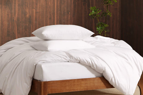 Organic Cotton Pillowcase | Last Chance