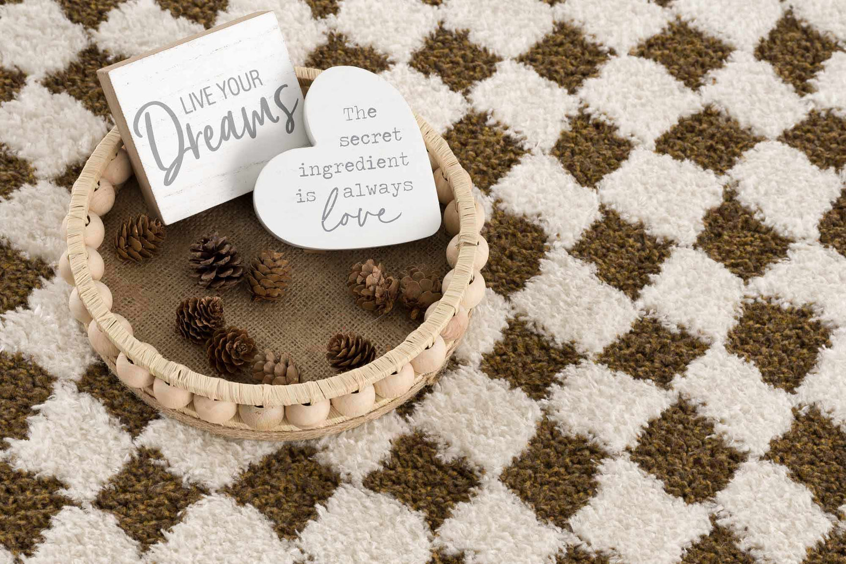 Leryn Brown Checkered Plush Rug