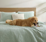 Snug + Bamboo Sham Set