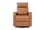 Dayna Leather Swivel Recliner Chair