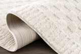 Leryn Ivory Checkered Area Rug