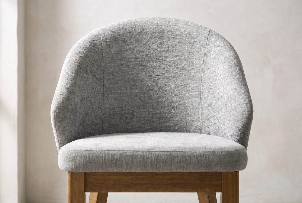 A shell back in soft grey