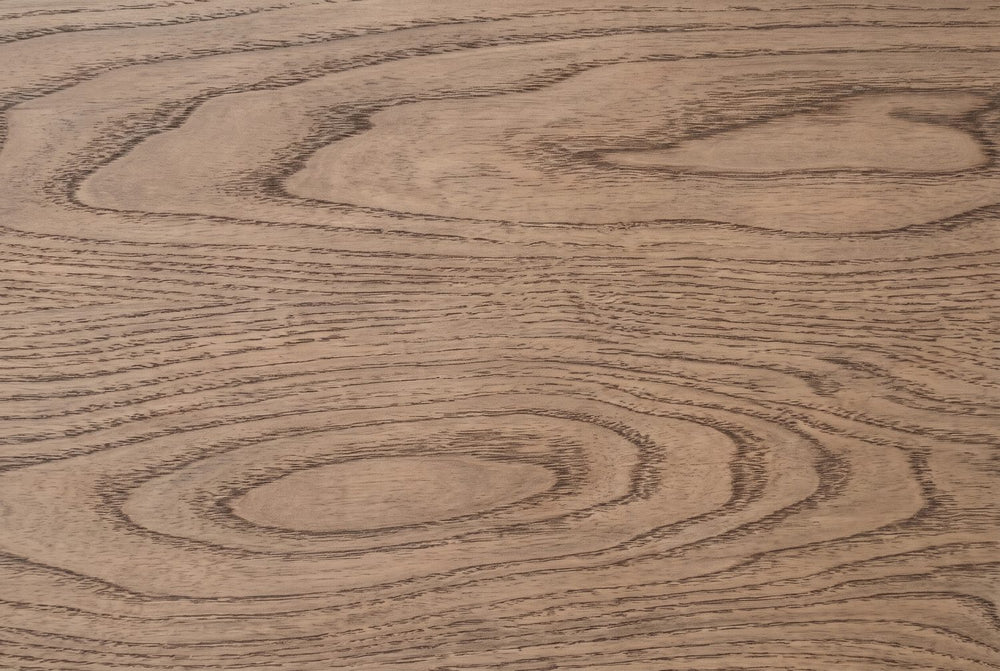 Arches of elm