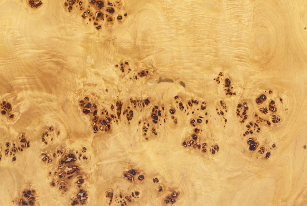 Burl, never repeated