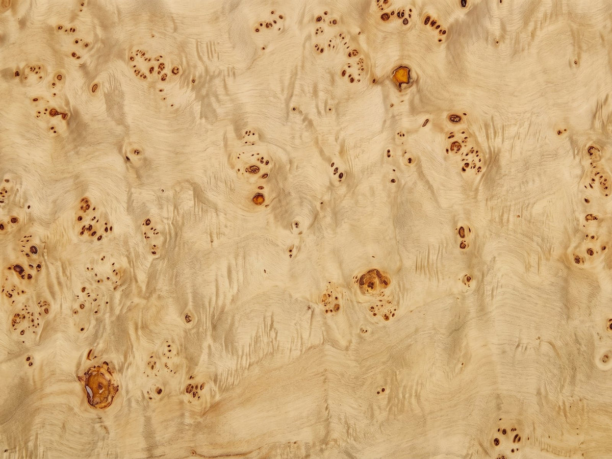 Close-up of the Biella 43-Inch Rectangular Burl Wood Veneer Coffee Table: the natural burl veneer of the top
