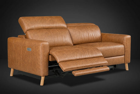 Elodie Distressed Italian Aniline Leather Dual Recliner Sofa