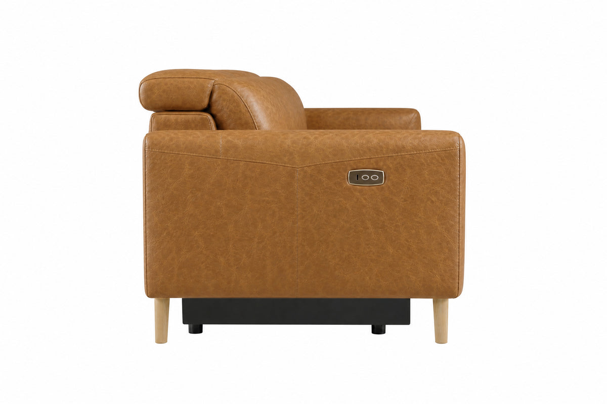 Elodie Distressed Italian Aniline Leather Dual Recliner Sofa