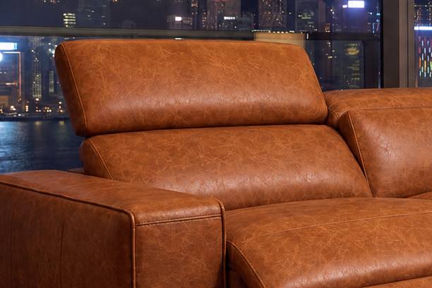 Power Adjustable Headrests