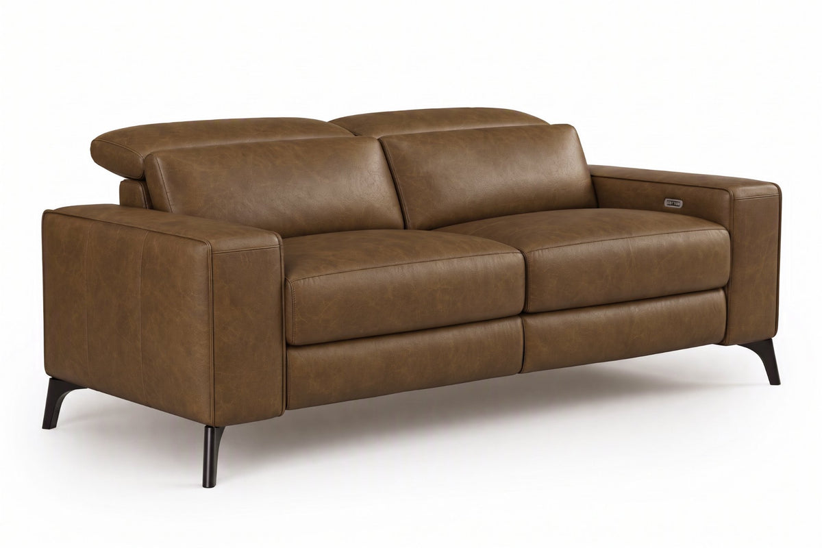 Esther Distressed Italian Aniline Leather Power Dual Recliner Sofa