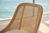 Close-up of the Gioiosa Cane-Back Upholstered Wood Dining Chair (Set of 2): cane