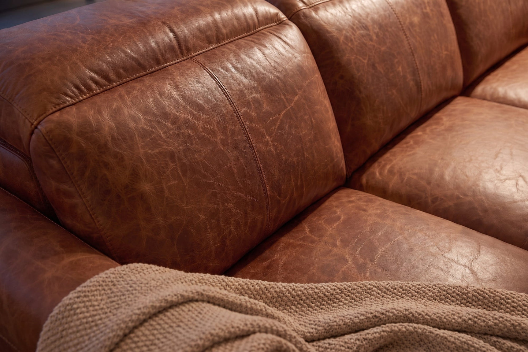 Elodie Distressed Italian Aniline Leather Dual Recliner Sofa