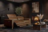 Elodie Distressed Italian Aniline Leather Dual Recliner Sofa