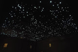 Starlight Ceiling Panel