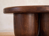 Close-up of the Bolgheri Sculpted Mango Coffee Table: a sculpted solid mango lobe meeting the rounded top