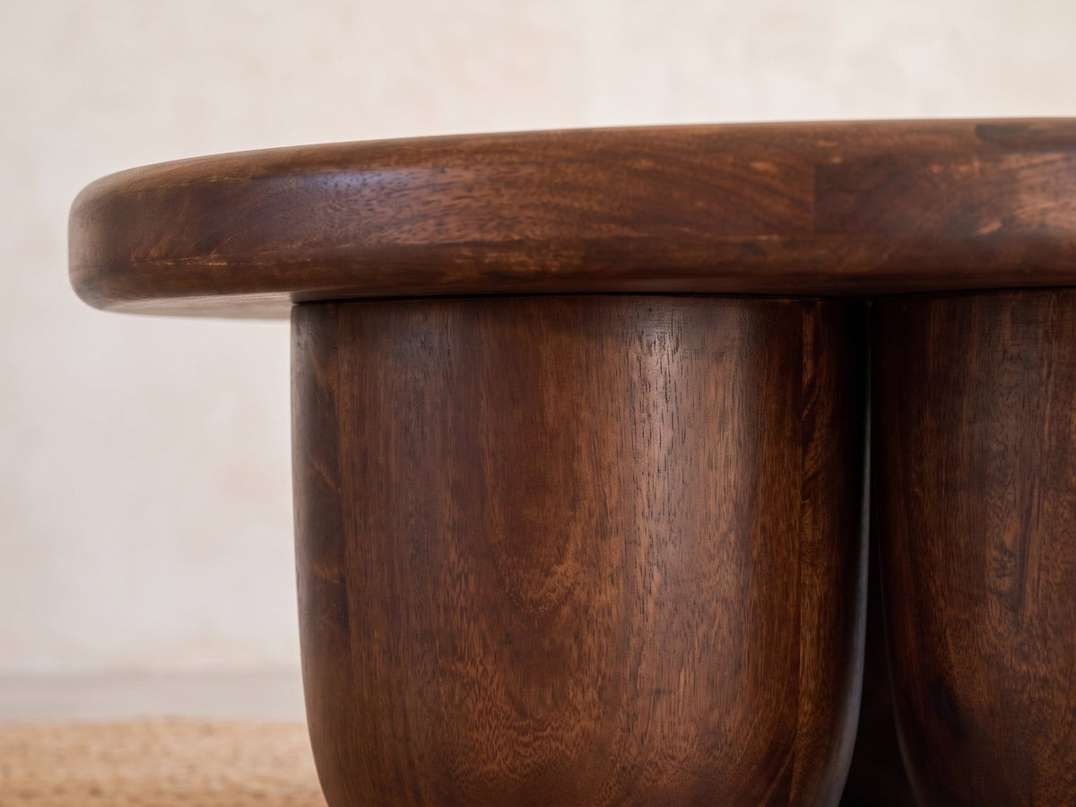 Close-up of the Bolgheri Sculpted Mango Coffee Table: a sculpted solid mango lobe meeting the rounded top